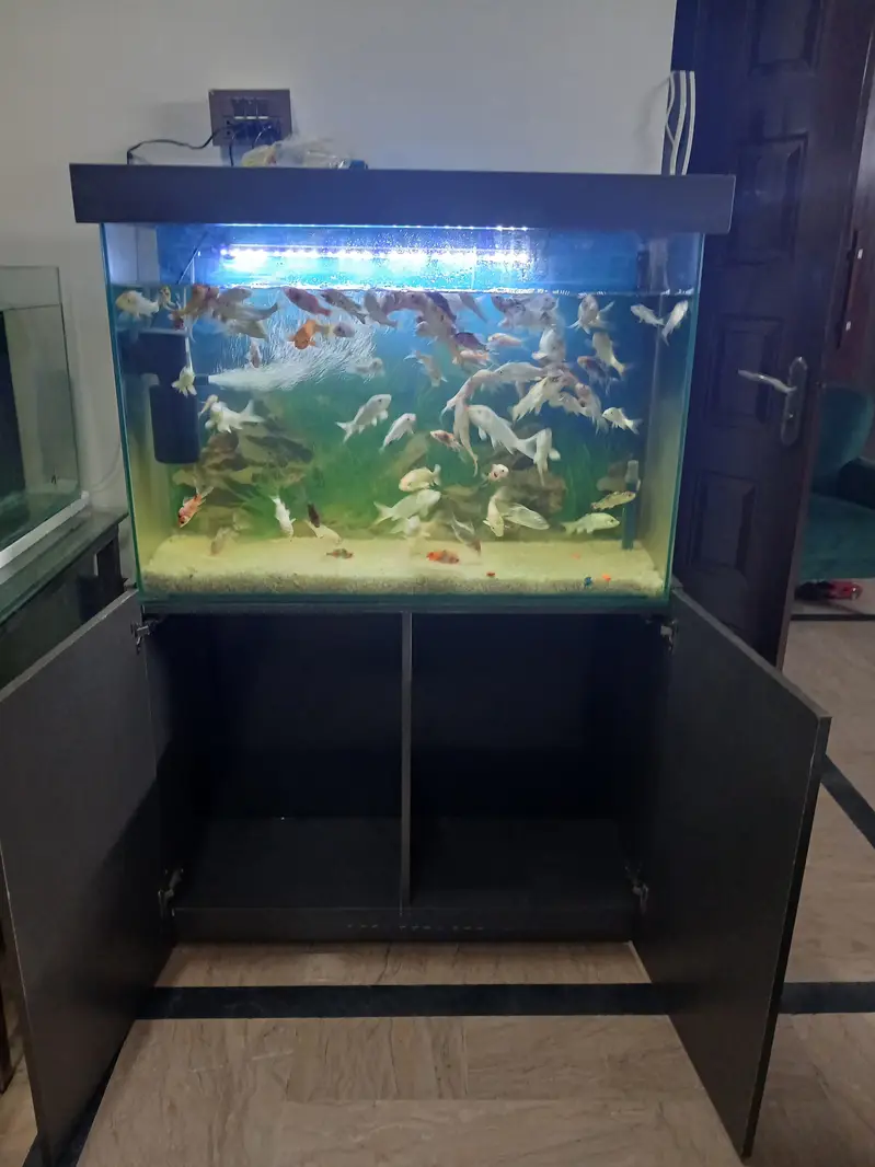 3×24×12 8mm polish with cabinet hydraliu plus bush system auto closing — photo 2