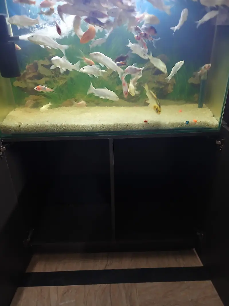3×24×12 8mm polish with cabinet hydraliu plus bush system auto closing — photo 5