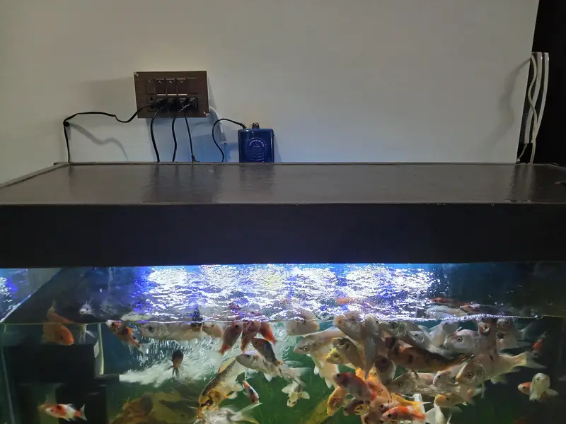 3×24×12 8mm polish with cabinet hydraliu plus bush system auto closing — photo 8