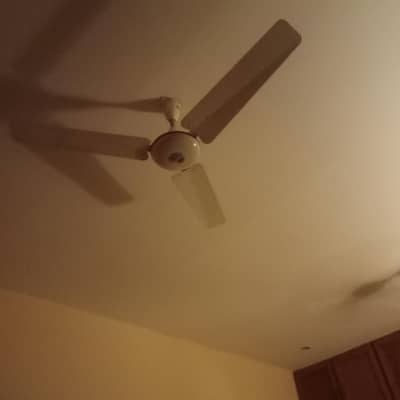 Sufi fan for sale