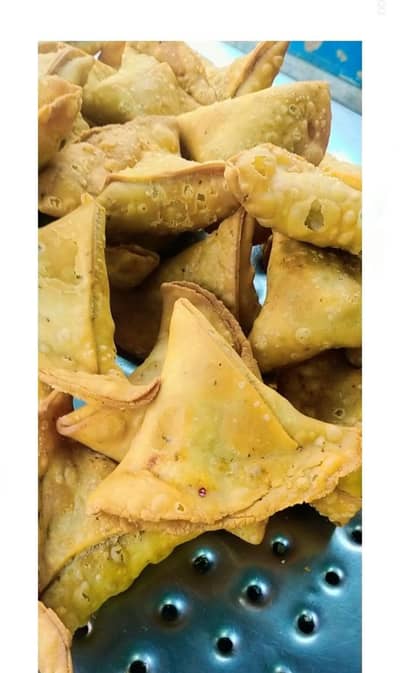 Samosa & Roll For whole sale rate