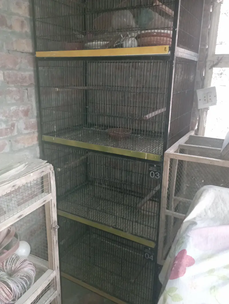 4 portions cage — photo 4