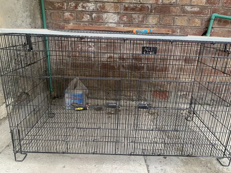 2x4 partition cage 7000 — photo 2