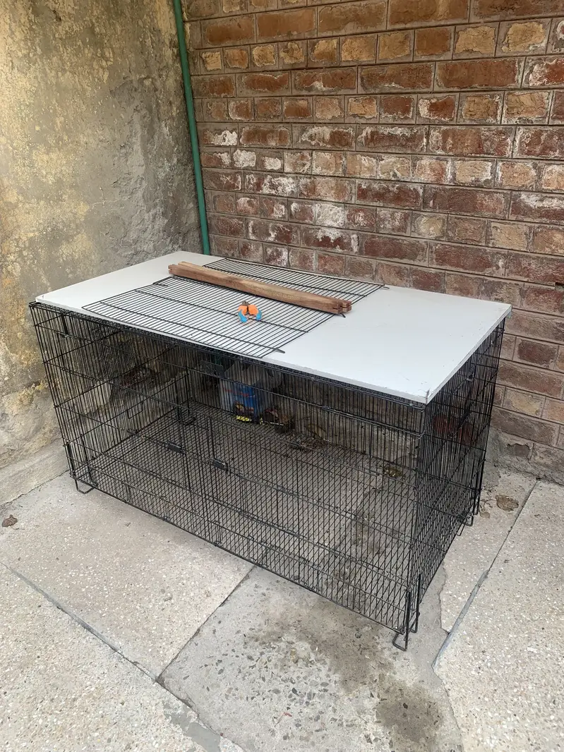 2x4 partition cage 7000 — photo 4