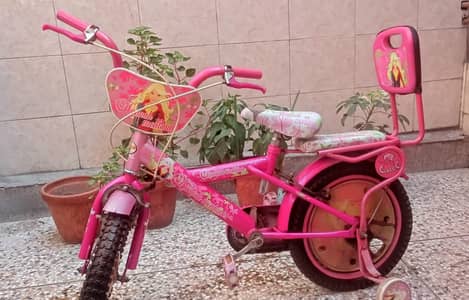 Henna Montana Kids Bicycle
