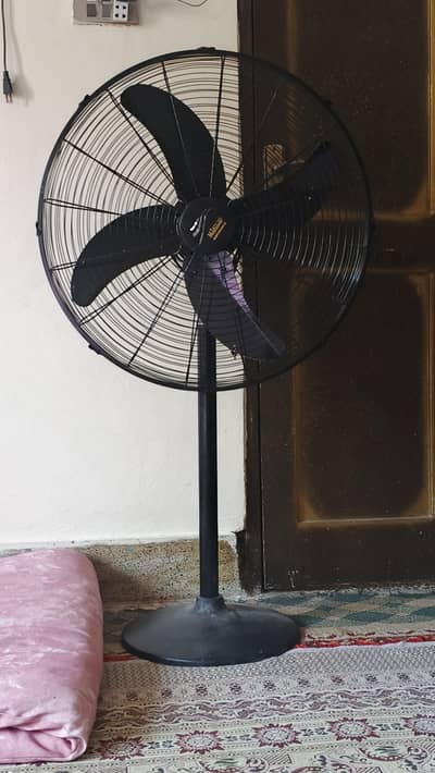 fan New