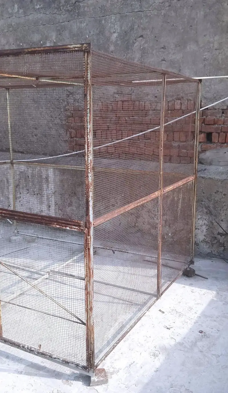 Birdcage   پنجرہ — photo 3