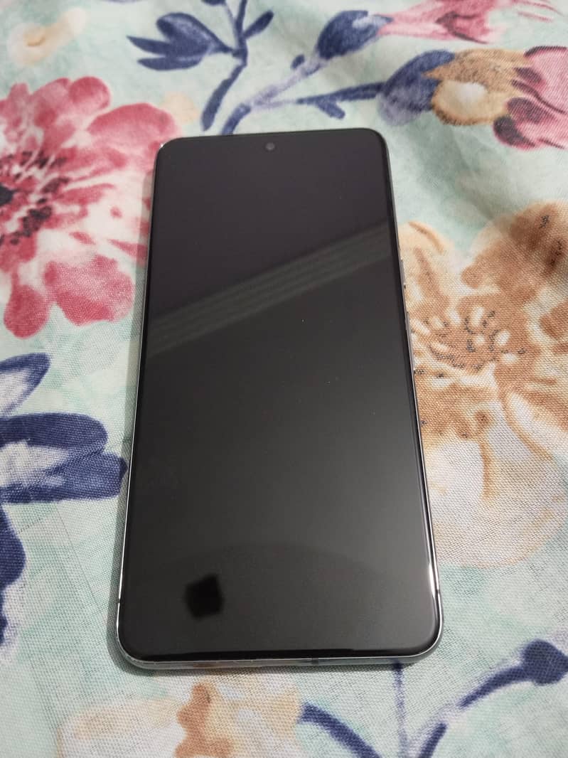 Google Pixel 8 Pro 1