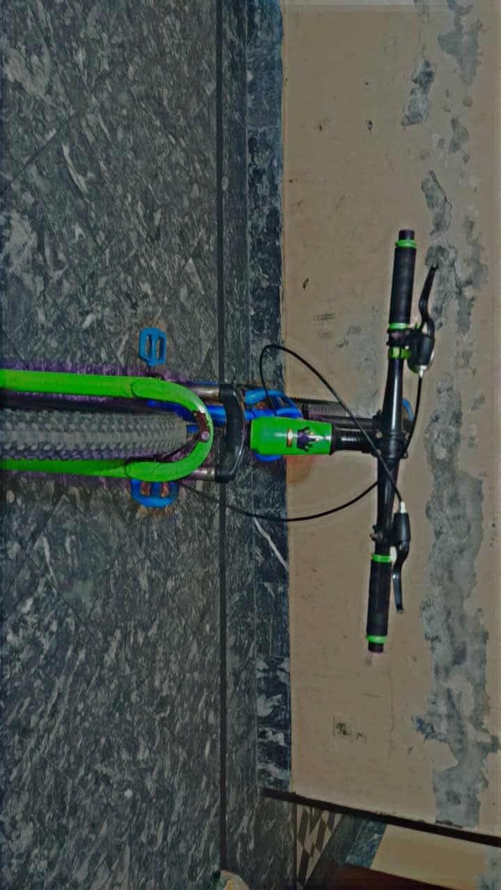 cycle 3