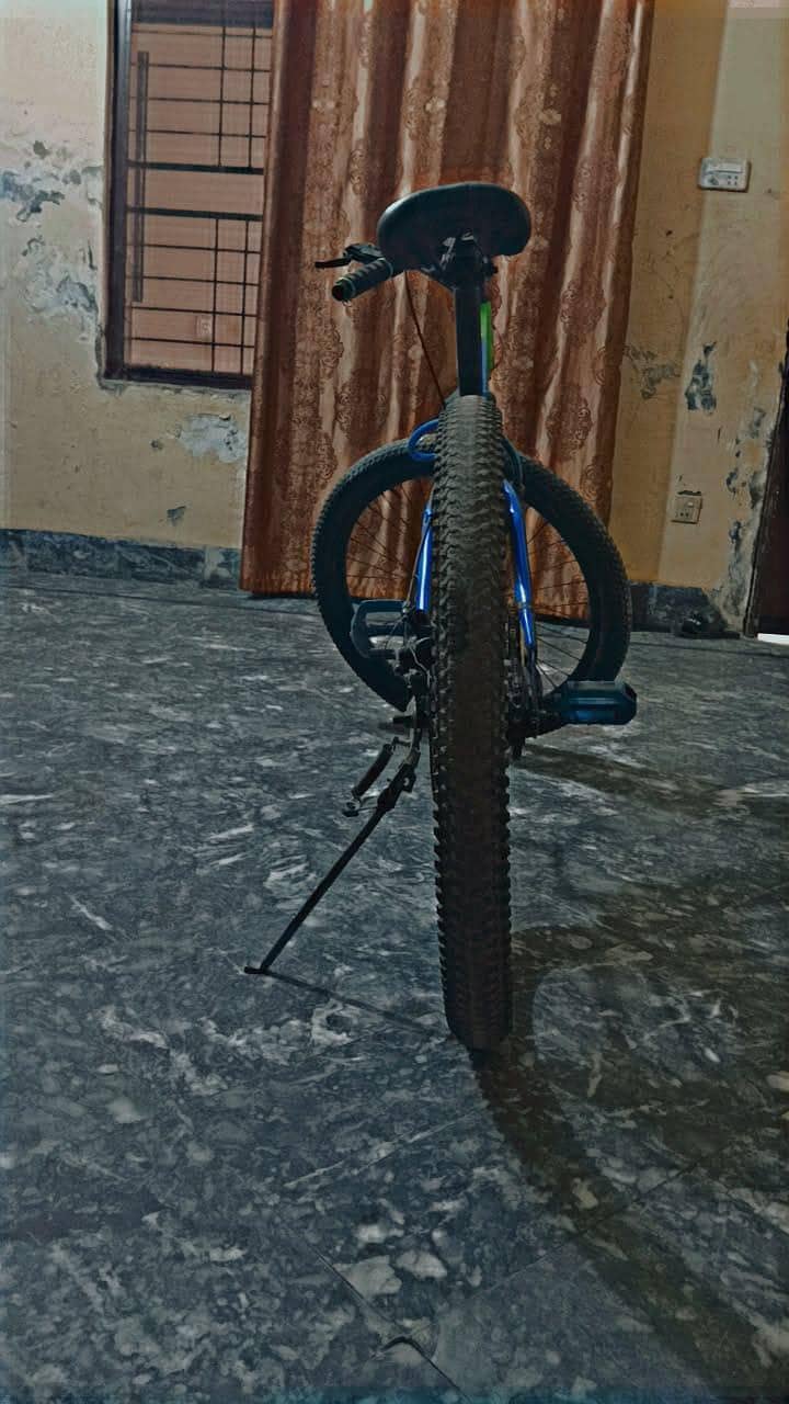 cycle 6