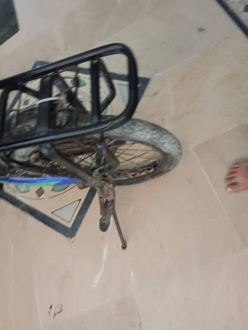Kid cycle 5