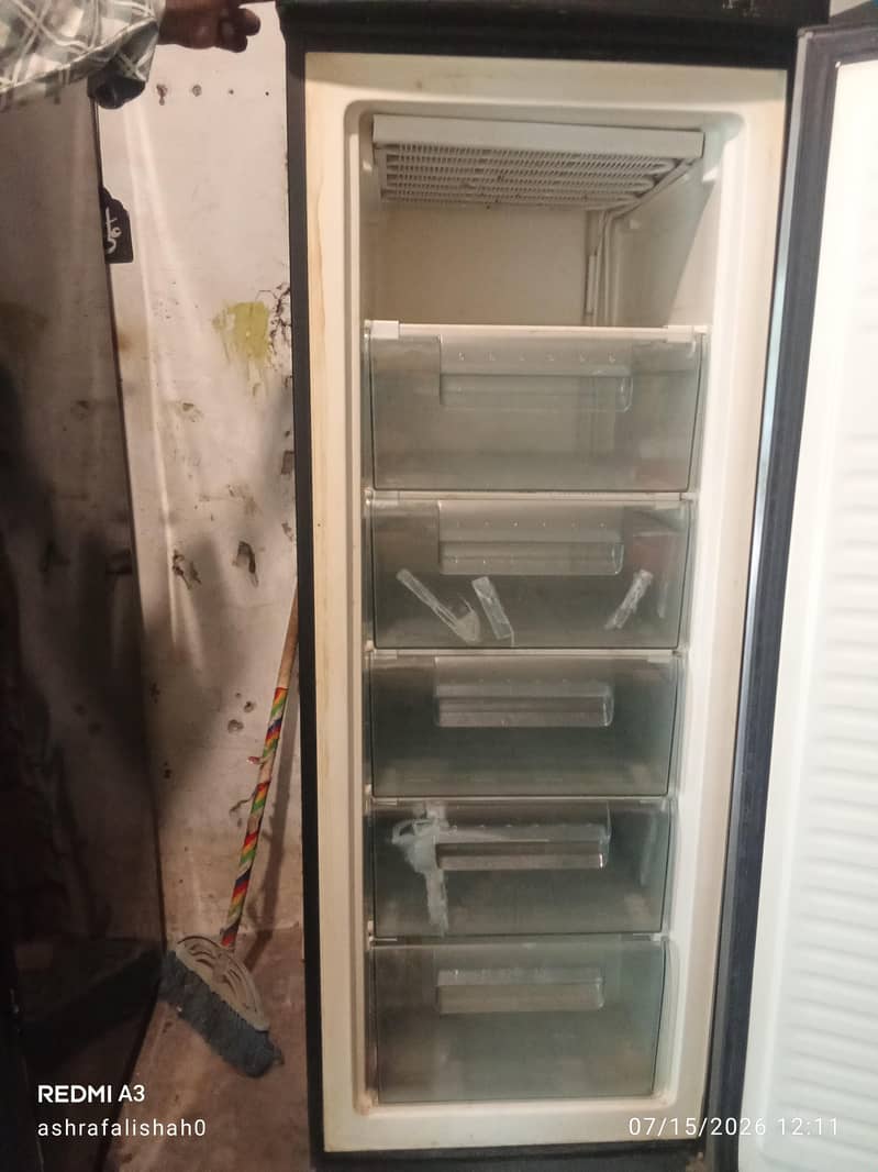 Orient Freezer 2