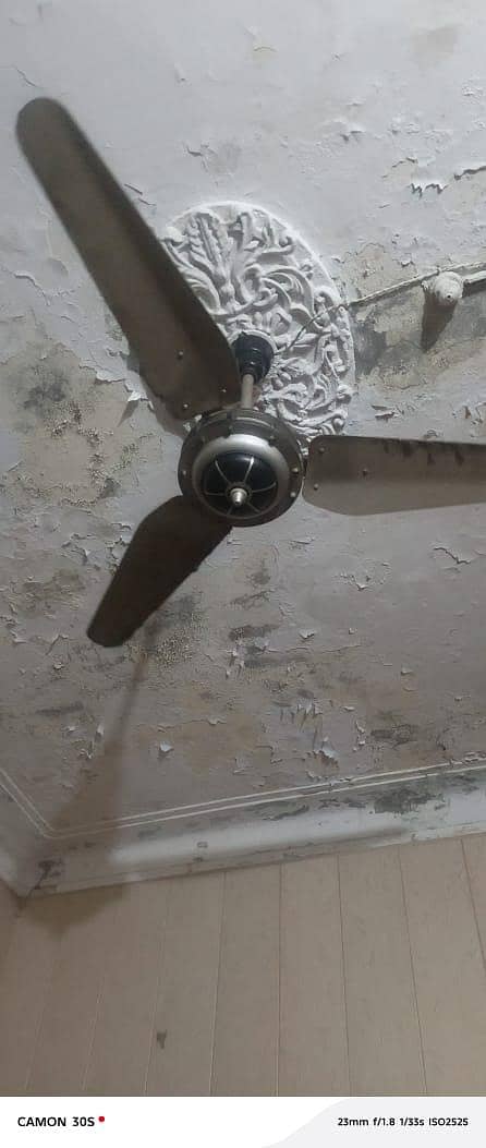 Ceiling Fan 1