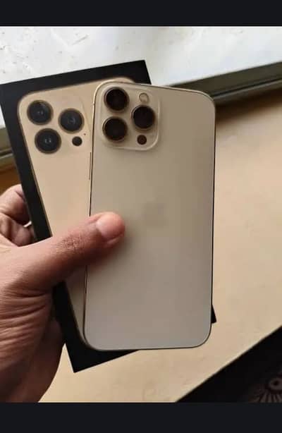 Apple iPhone 13 Pro Max