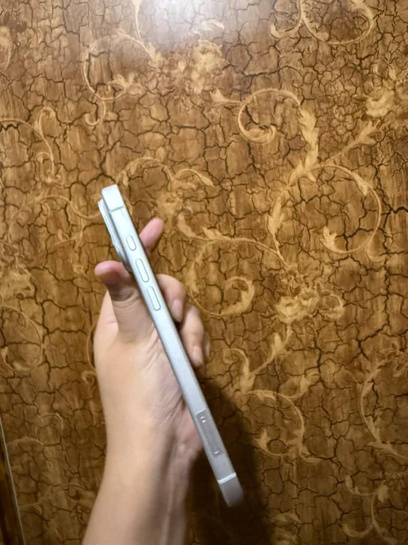 Apple iPhone 17 Pro Max 5