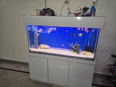 Premium 4ft Fish Aquarium with Modern white cabinet and complete acce