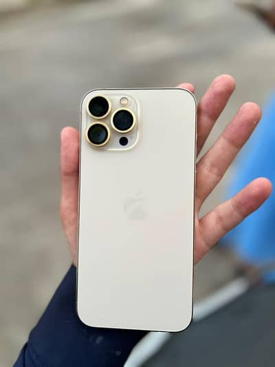 Apple iPhone 13 Pro Max