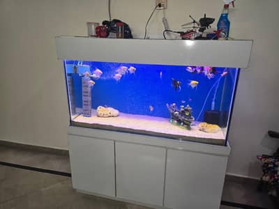 Premium 4ft Fish Aquarium with Modern White Cabinet 12mm glass