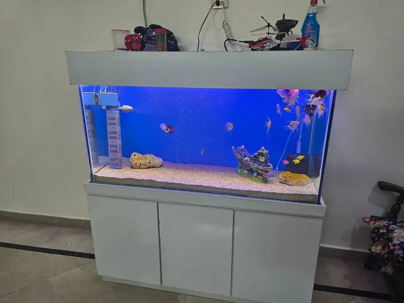 Premium 4ft Fish Aquarium with Modern White Cabinet 12mm glass — photo 2