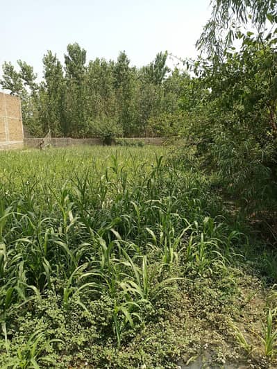 51 Marla Plot, Single Block. Avg 153ft lengthx100ft width. Negotiable