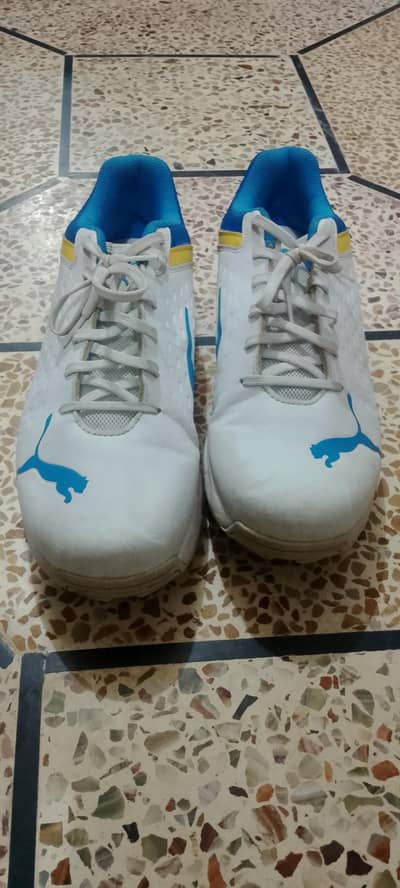 Puma 22.2 FH spikes cricket shoes