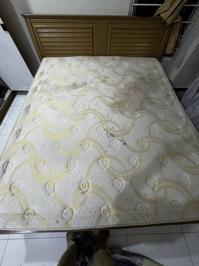 Master molty foam plus