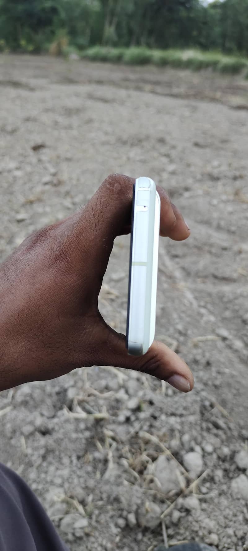 Google Pixel 7 3