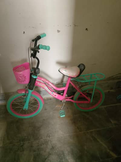 Baby cycle