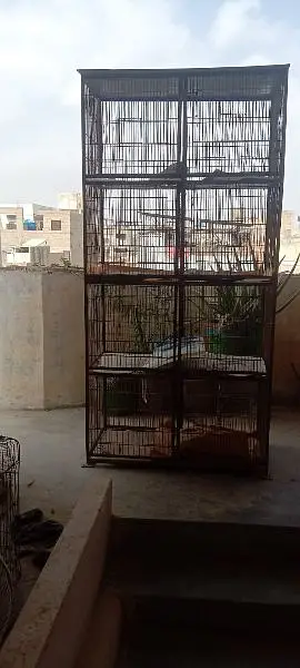 ایک پنجرہ 8 خانوں کا ،5عدد مرغے مرغیوں کا سیٹ اپ — photo 2