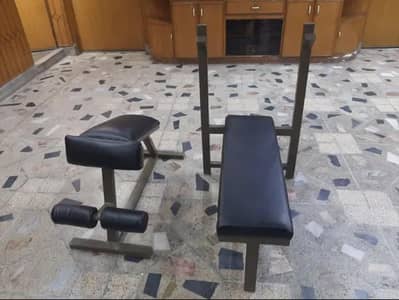 Bench press & roman chair