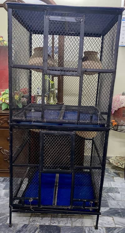 2 Portion Steel Bird Cage - Brand New