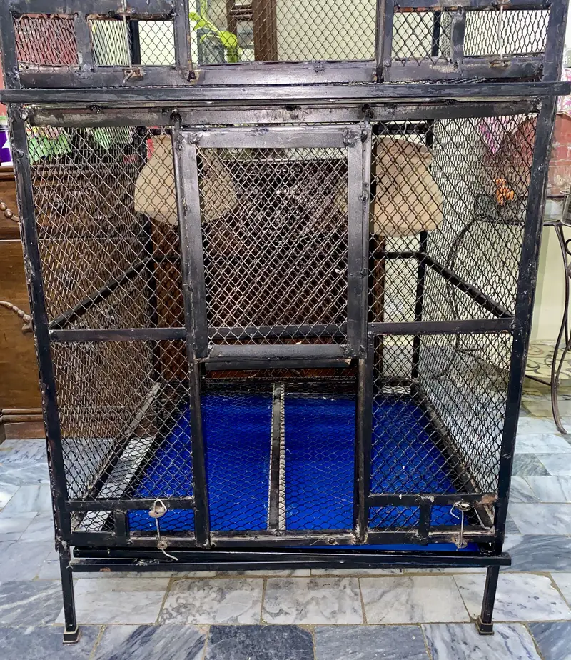 2 Portion Steel Bird Cage - Brand New — photo 2