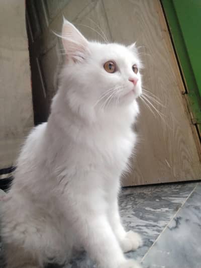 My sweet heart