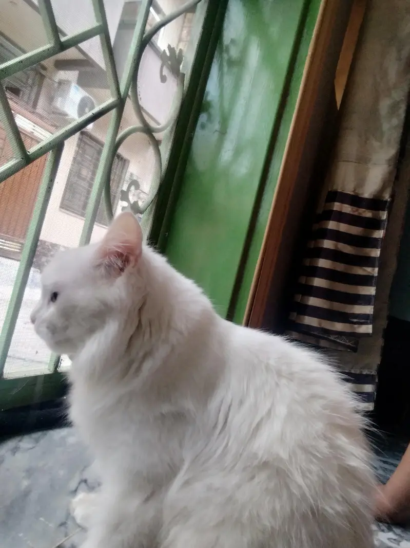 My sweet heart — photo 2
