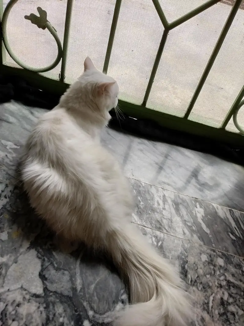 My sweet heart — photo 3