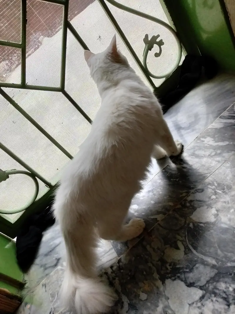 My sweet heart — photo 4