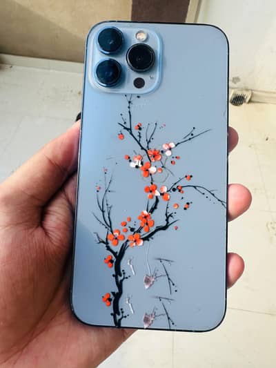Apple iPhone 13 Pro Max