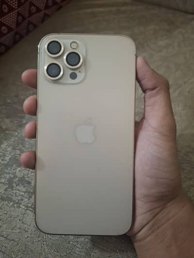 I phone 12 pro max non pta factory unlock waterpack 10 by 10