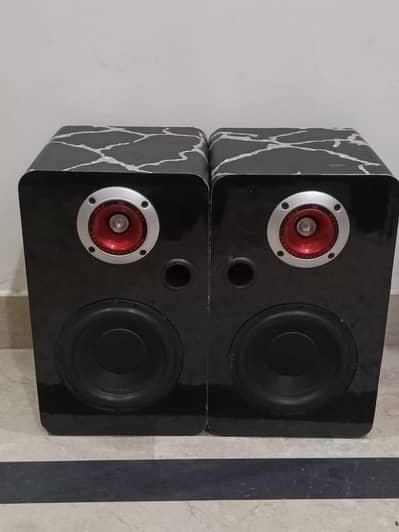2 Way Subwoofers pair
