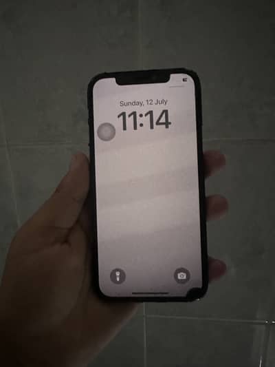 Apple iPhone 12