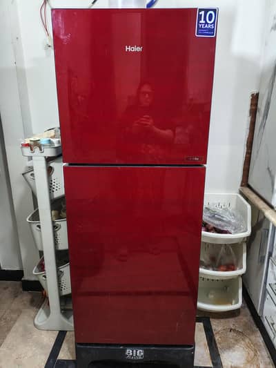 Haier medium size glass door refrigerator