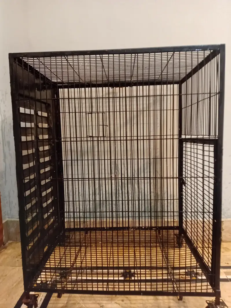Iron Cage for Sale — photo 2