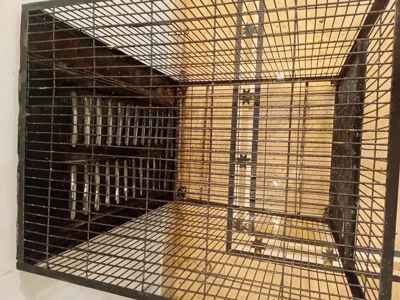 Iron Cage for Sale — photo 3