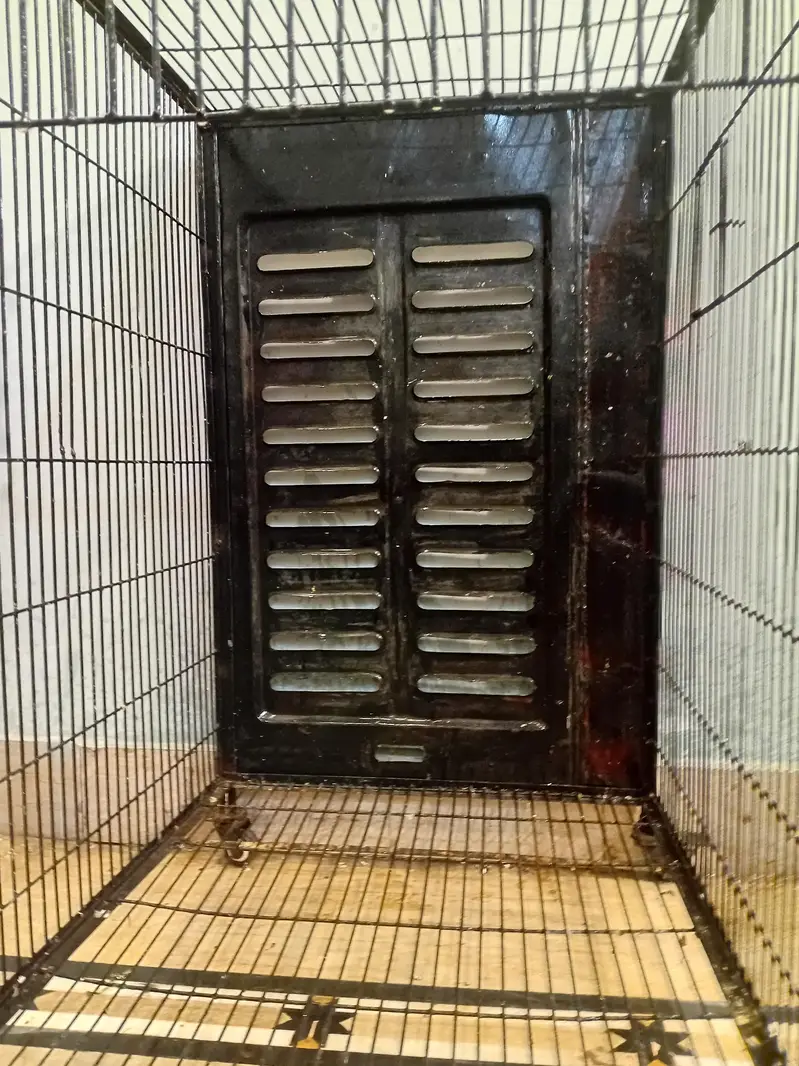 Iron Cage for Sale — photo 4