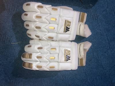 Batting pad and glove