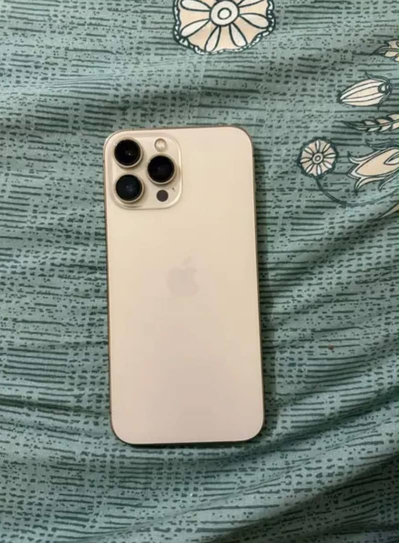 Iphone 13 pro max 1