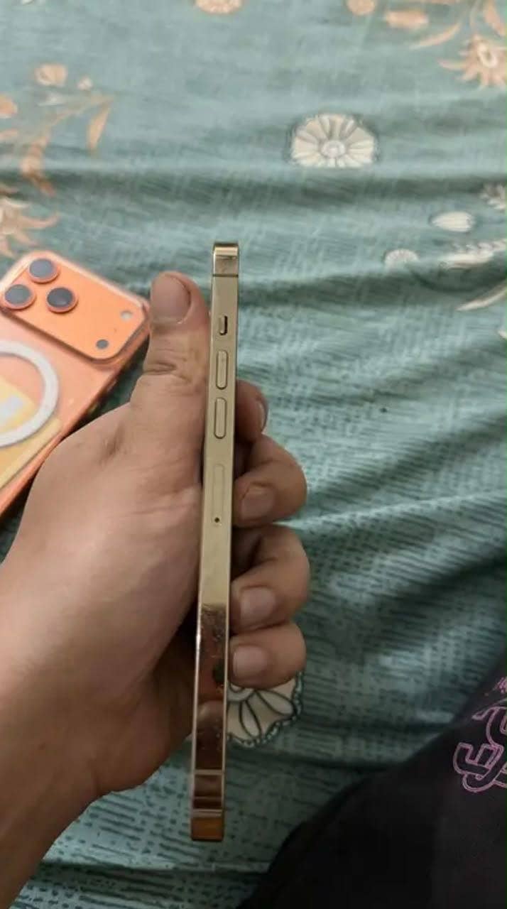 Iphone 13 pro max 2