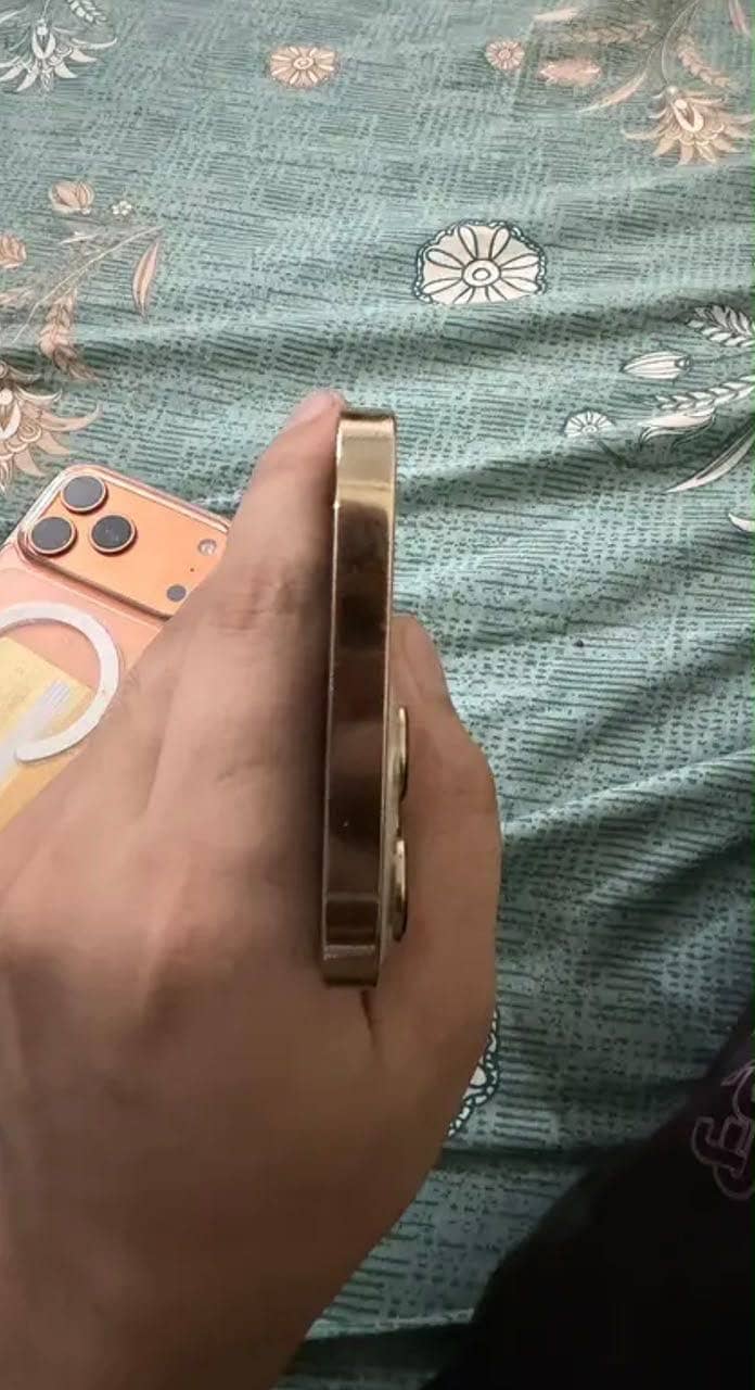 Iphone 13 pro max 3