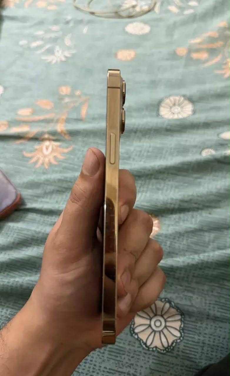 Iphone 13 pro max 7
