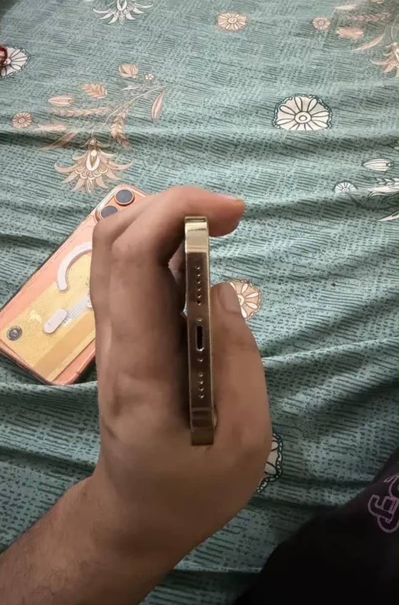Iphone 13 pro max 8